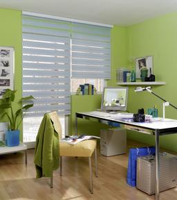 Vision Blind with electric motor