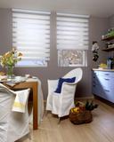 Vision Blind in office