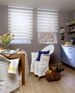 Vision Blind in office