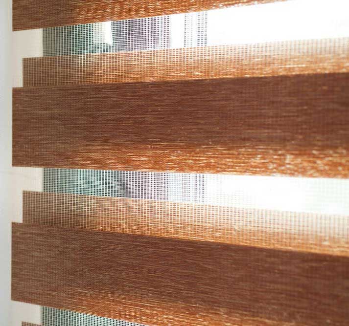 Vision / Duorol / Zebra / Day & Night Blinds